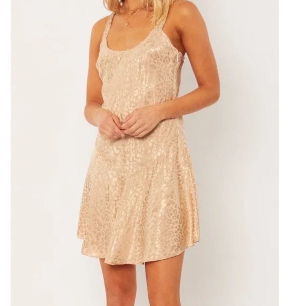 Amuse Society Dress